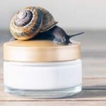 The Real Scoop on Snail Slime Skincare: What It Can – and Can’t Do